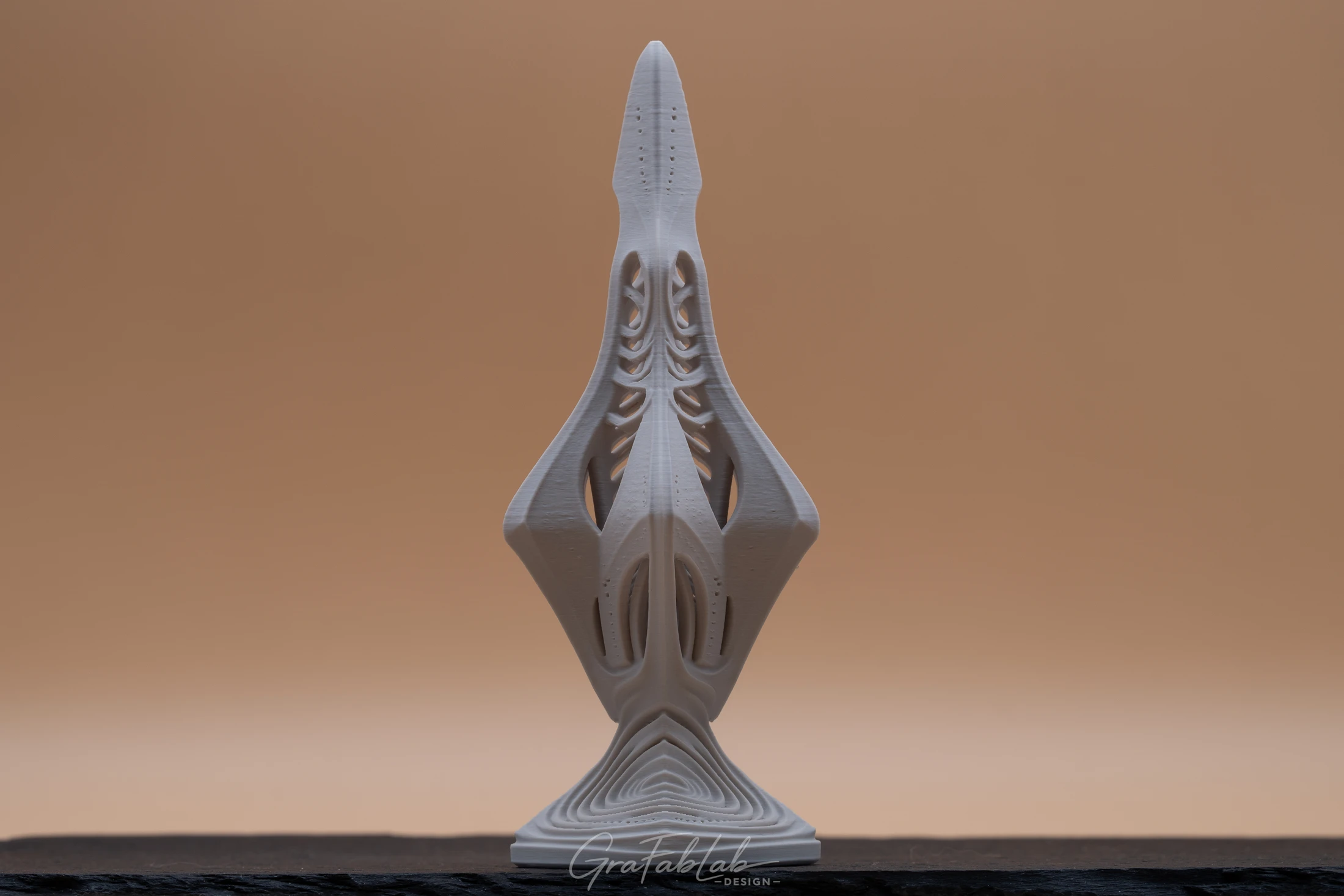 GraFabLab Sculpture 024 - Photo 2
