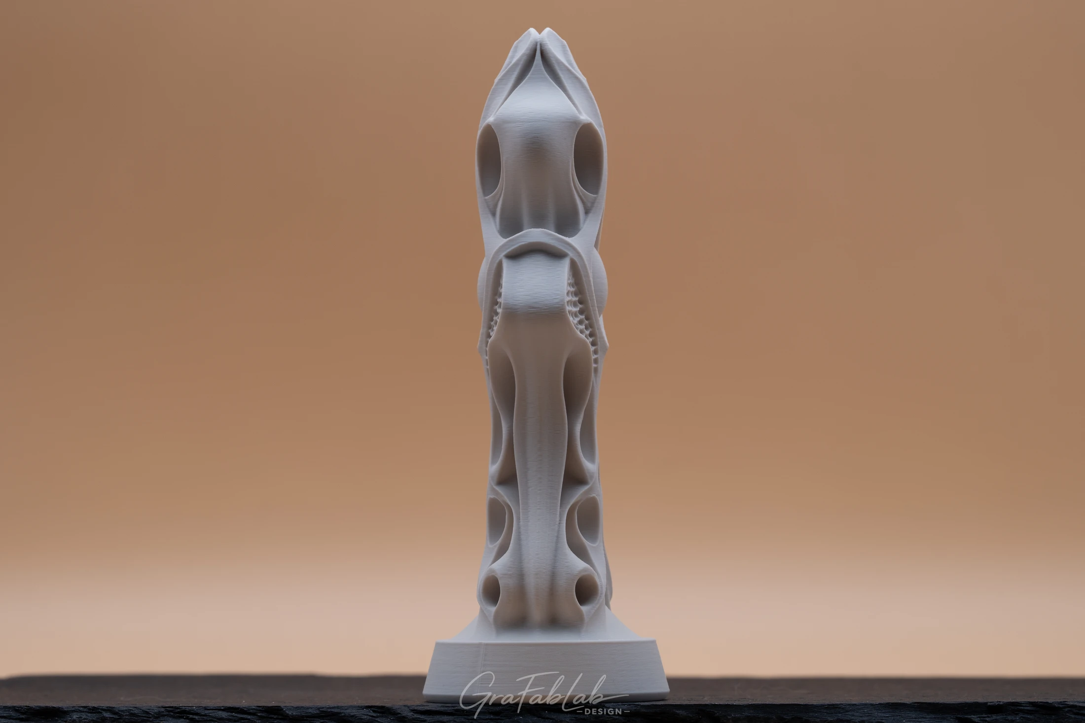 GraFabLab Sculpture 033 - Photo 2