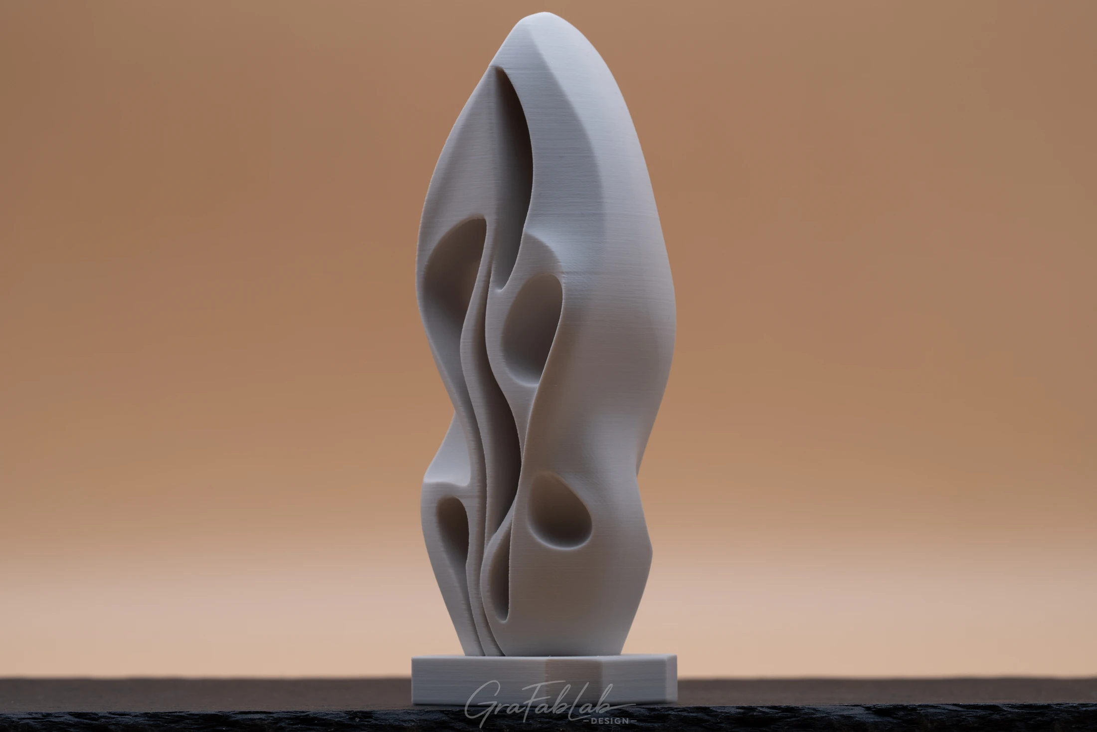 GraFabLab Sculpture 051 - Photo 3