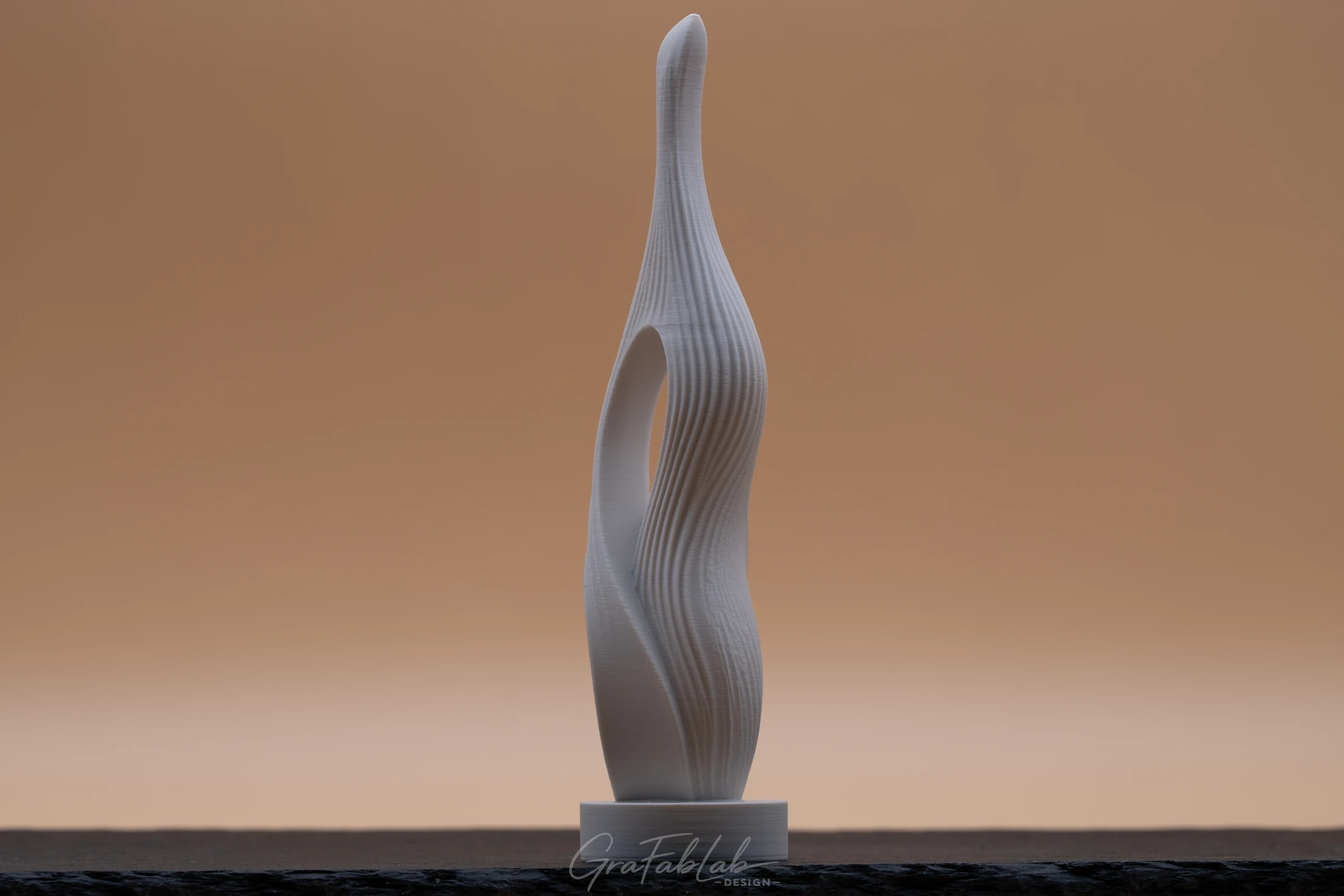 GraFabLab Sculpture 057 - Photo 3