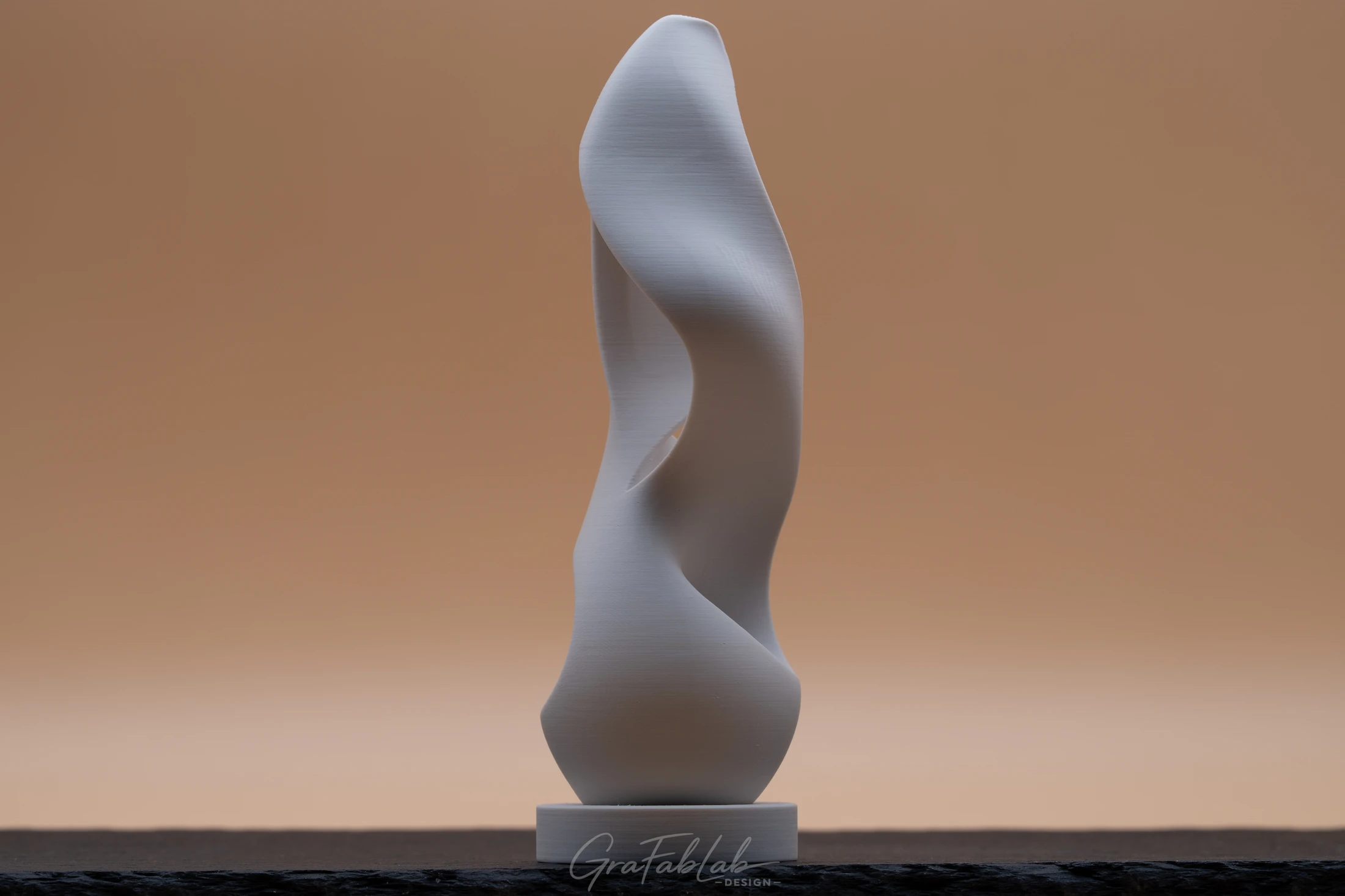 GraFabLab Sculpture 058 - Photo 2