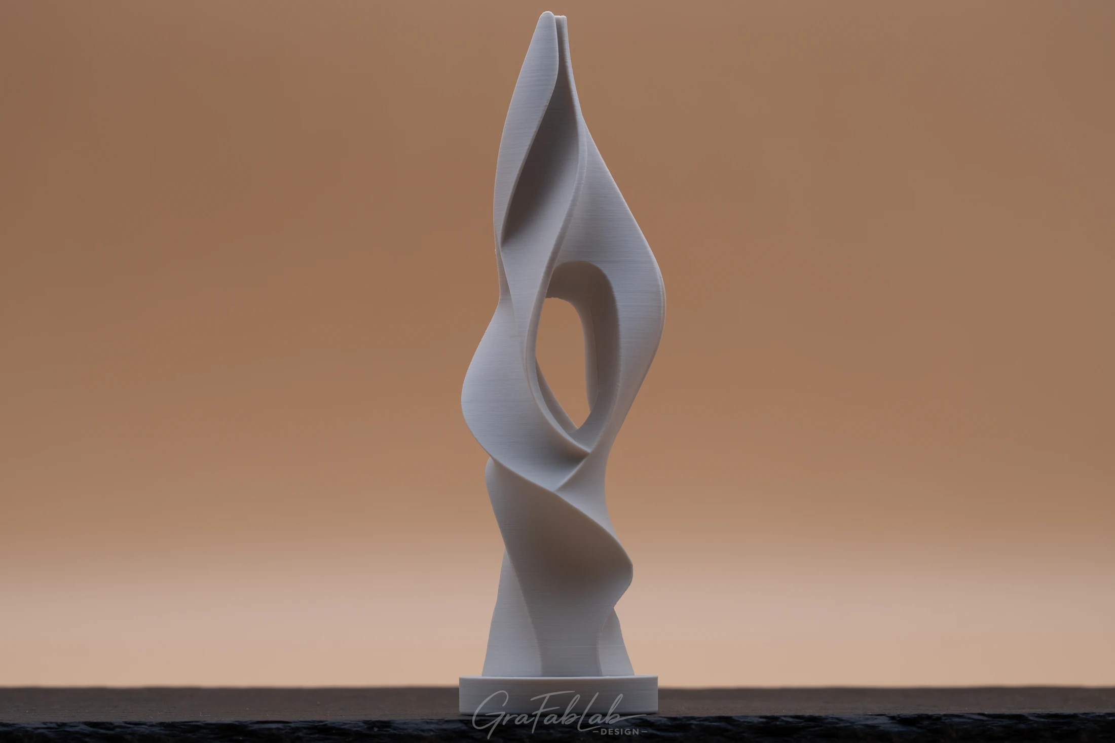 GraFabLab Sculpture 061 - Photo 1