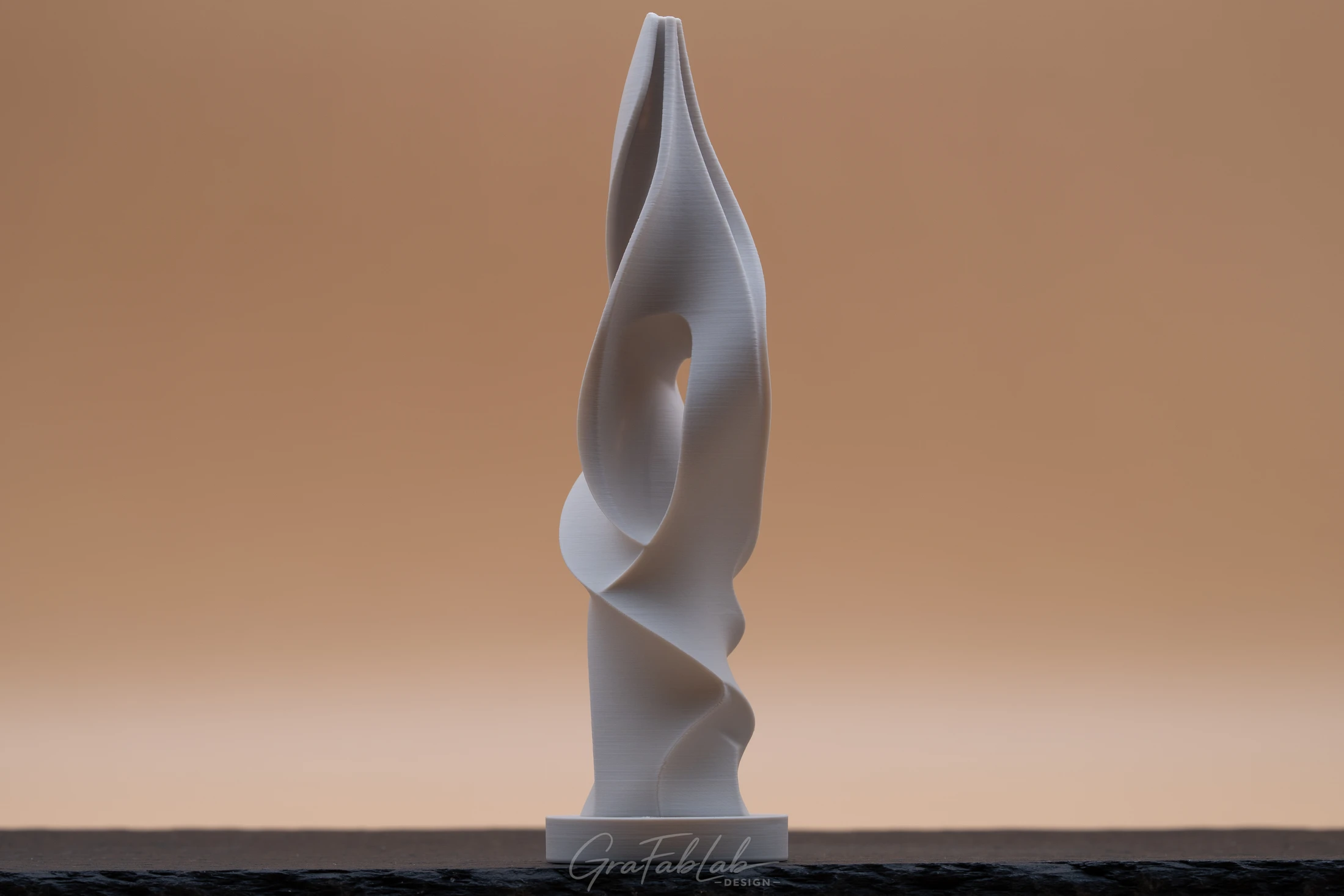 GraFabLab Sculpture 061 - Photo 3