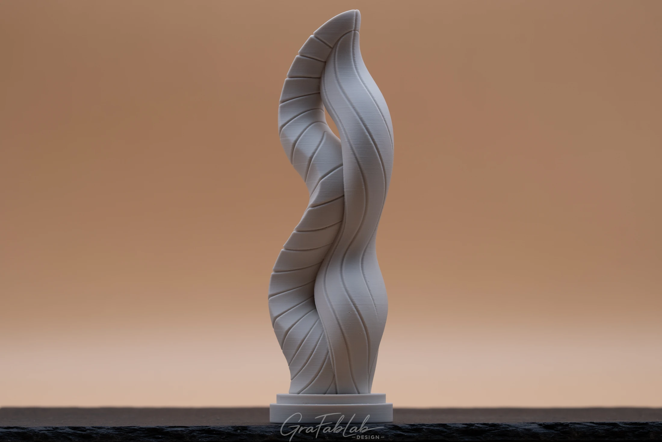 GraFabLab Sculpture 066 - Photo 3